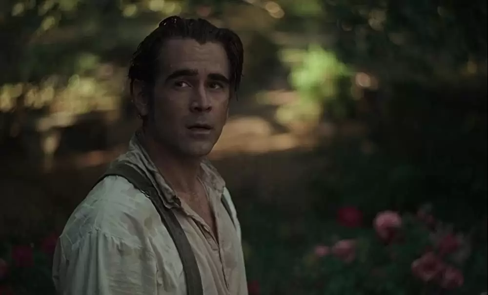 The Beguiled/ビガイルド 欲望のめざめの画像