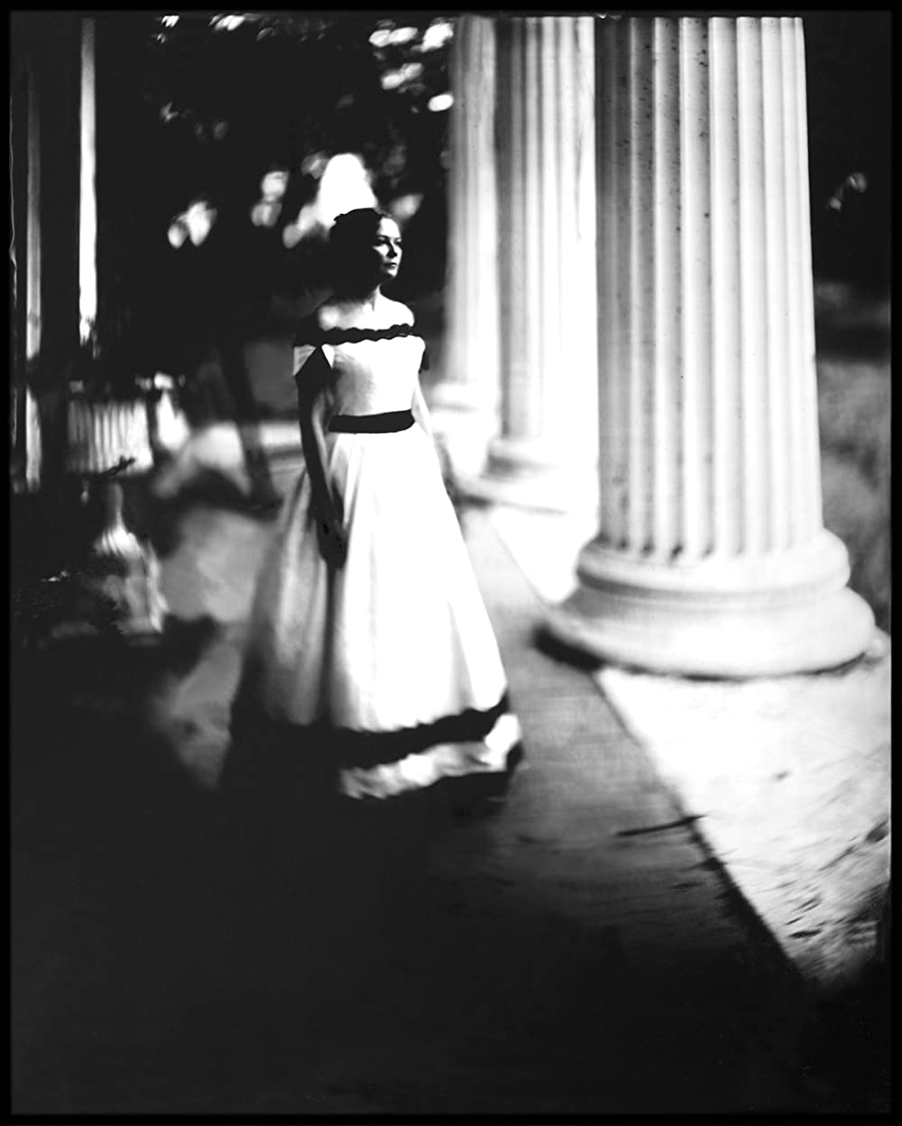 The Beguiled/ビガイルド 欲望のめざめの画像