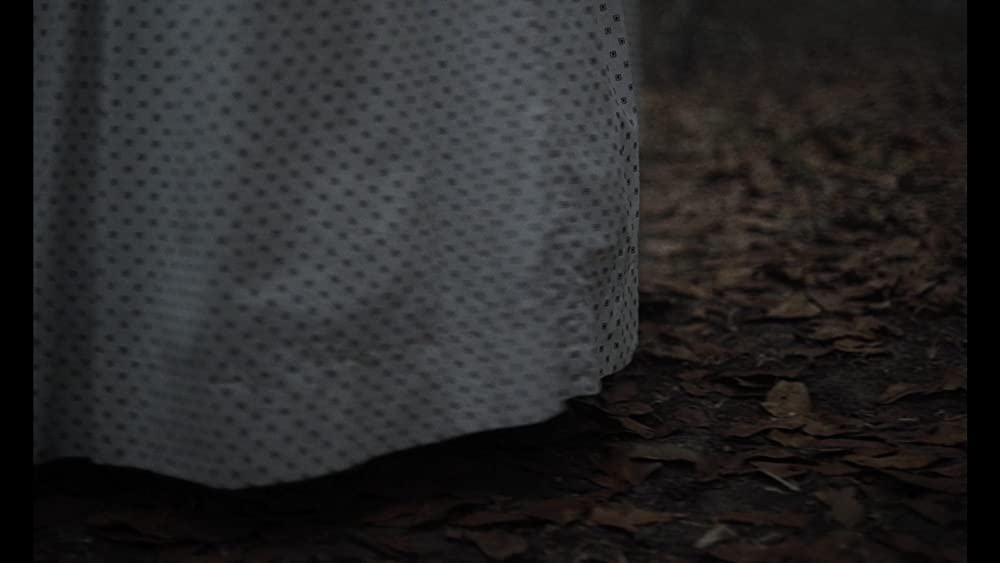 The Beguiled/ビガイルド 欲望のめざめの画像