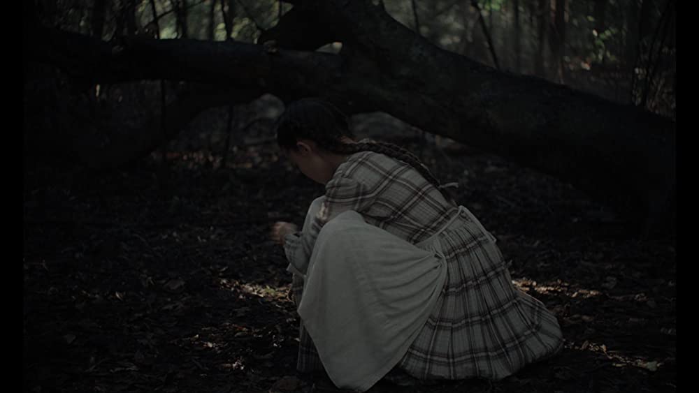 The Beguiled/ビガイルド 欲望のめざめの画像