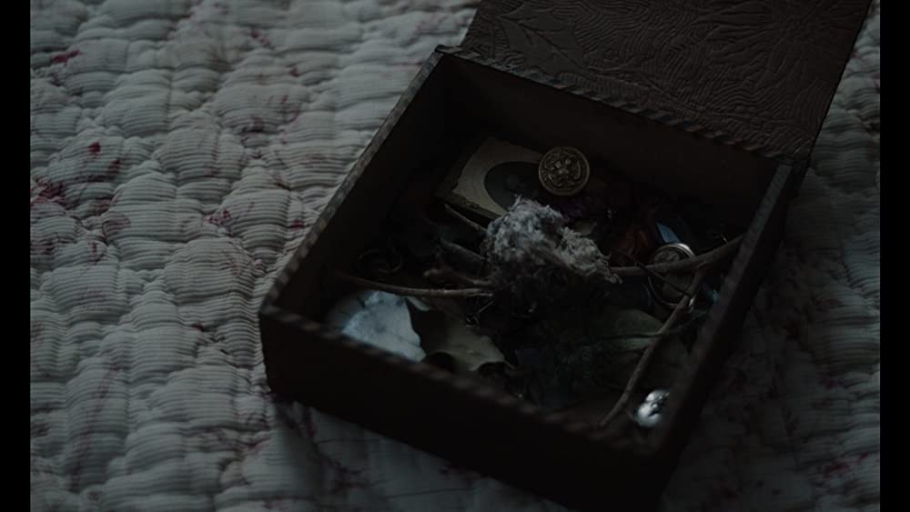 The Beguiled/ビガイルド 欲望のめざめの画像