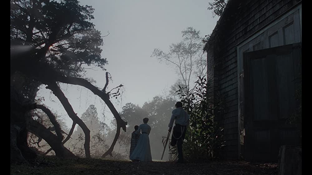 The Beguiled/ビガイルド 欲望のめざめの画像