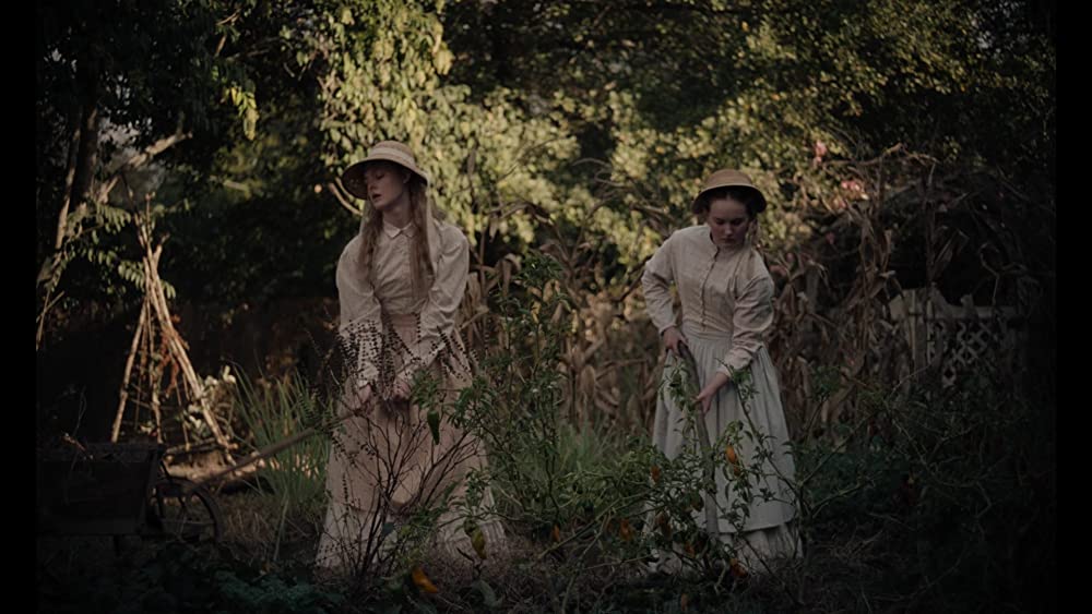 The Beguiled/ビガイルド 欲望のめざめの画像