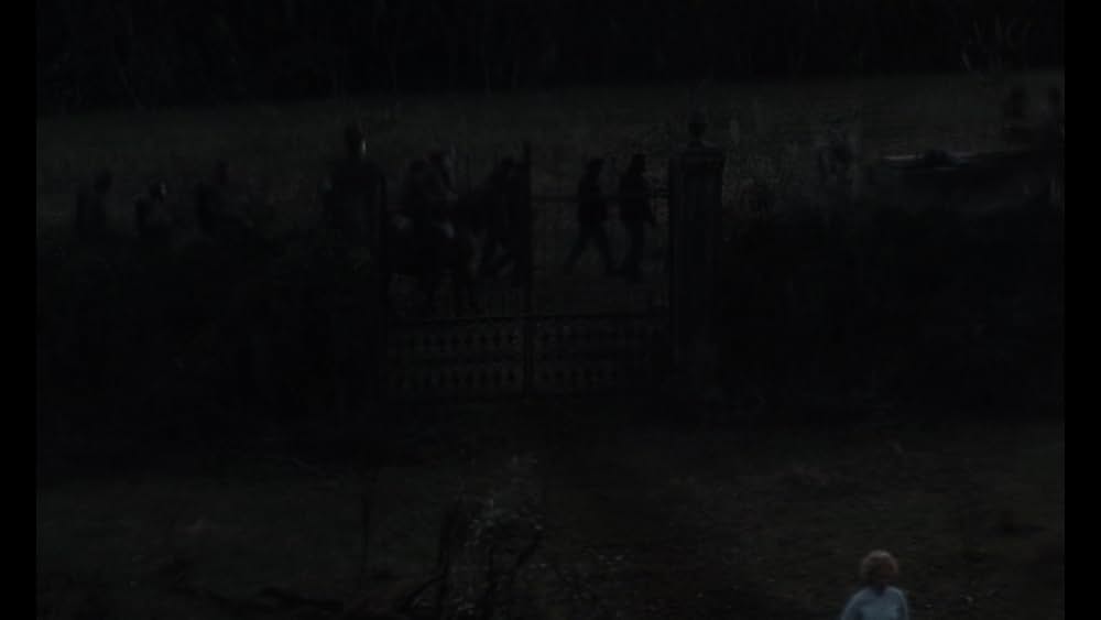 The Beguiled/ビガイルド 欲望のめざめの画像