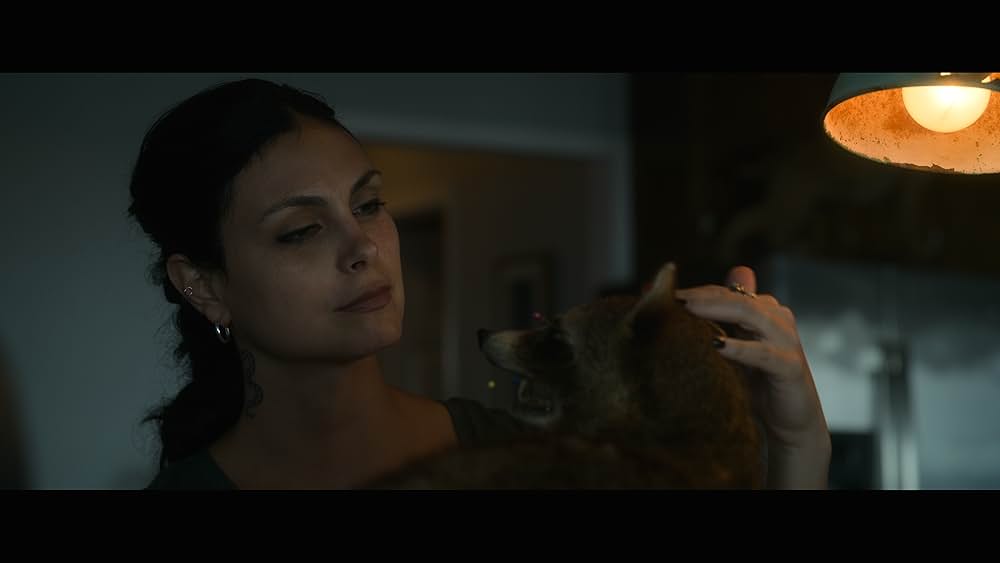 Fast Charlie（原題）の画像