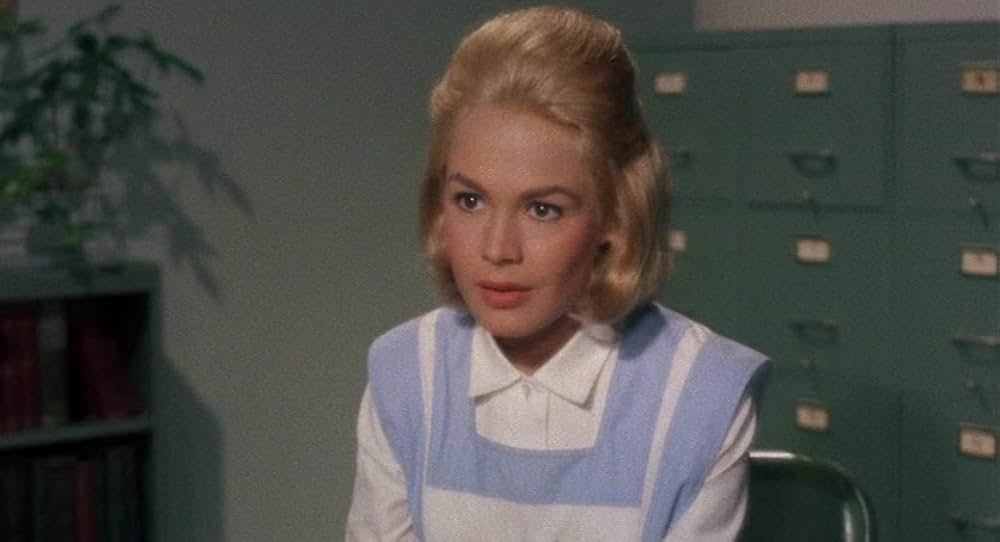 タミーとドクターの画像