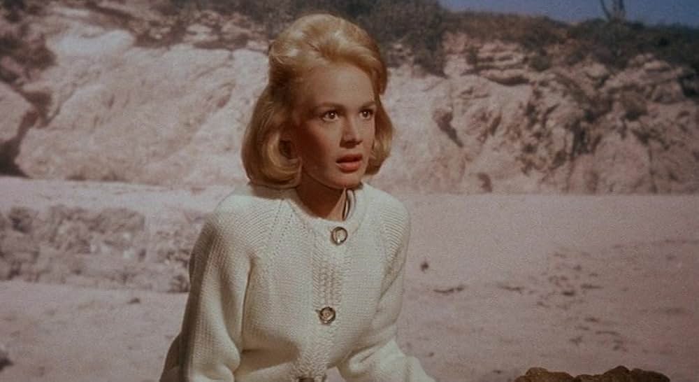 タミーとドクターの画像