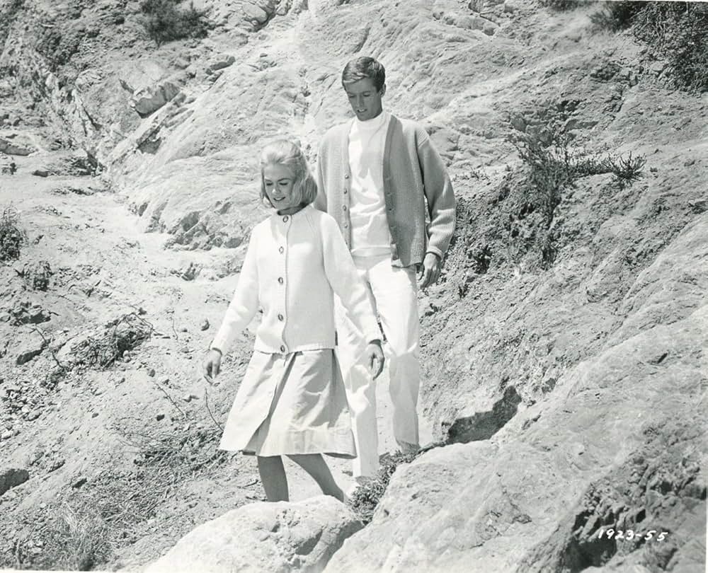 タミーとドクターの画像