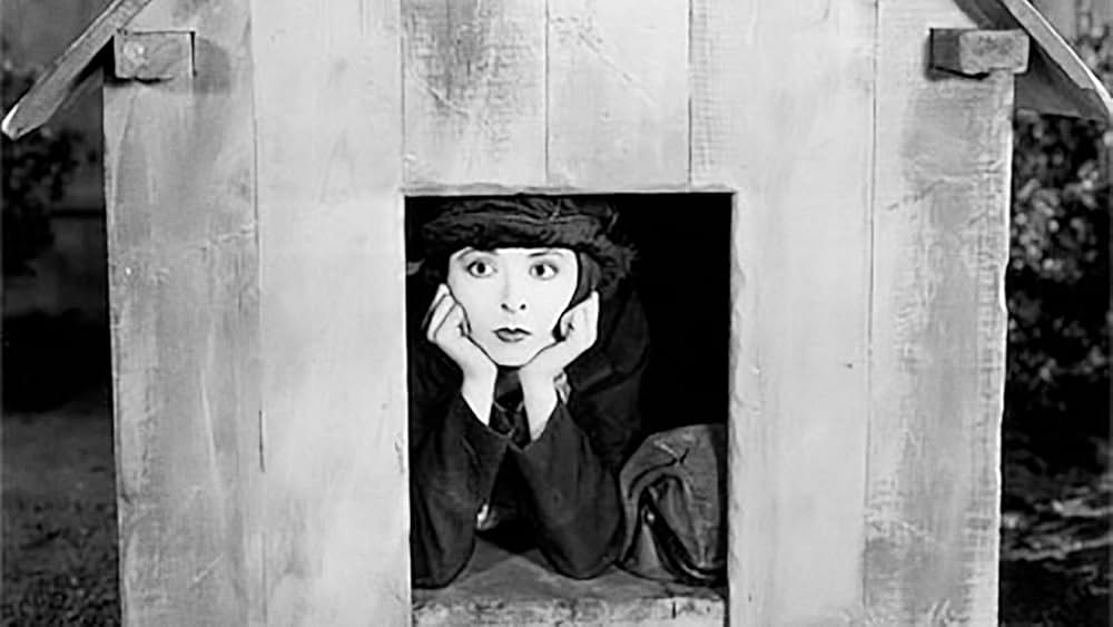 微笑みの女王の画像