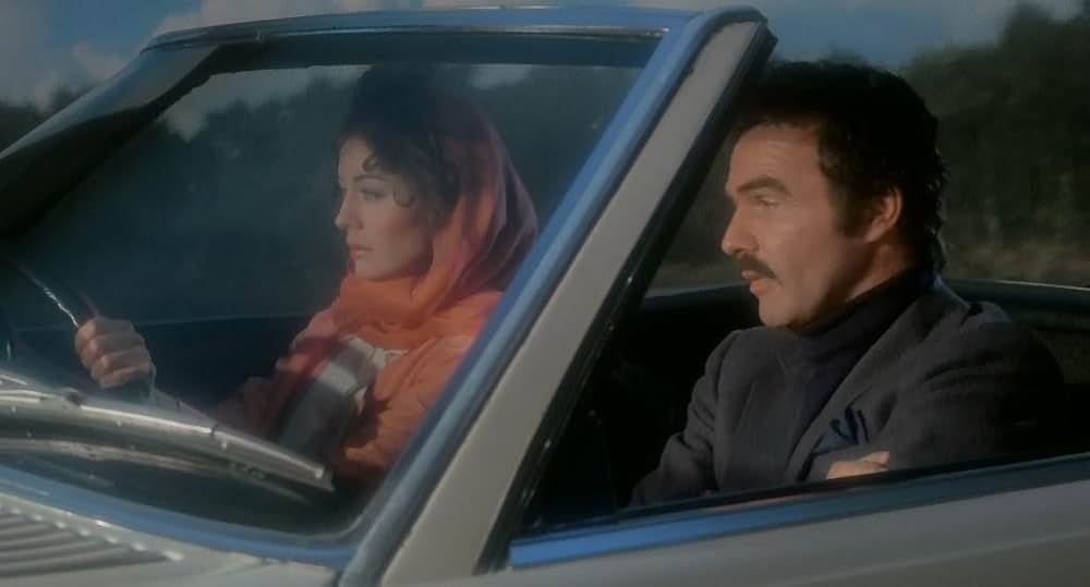 ラフ・カットの画像