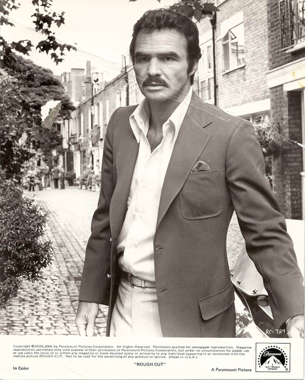 ラフ・カットの画像