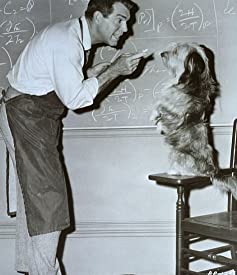 「フラバー うっかり博士の大発明／うっかり博士の大発明／フラバァ」フレッド・マクマレイの画像