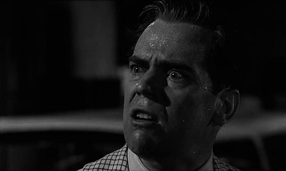 フラバー うっかり博士の大発明／うっかり博士の大発明／フラバァの画像