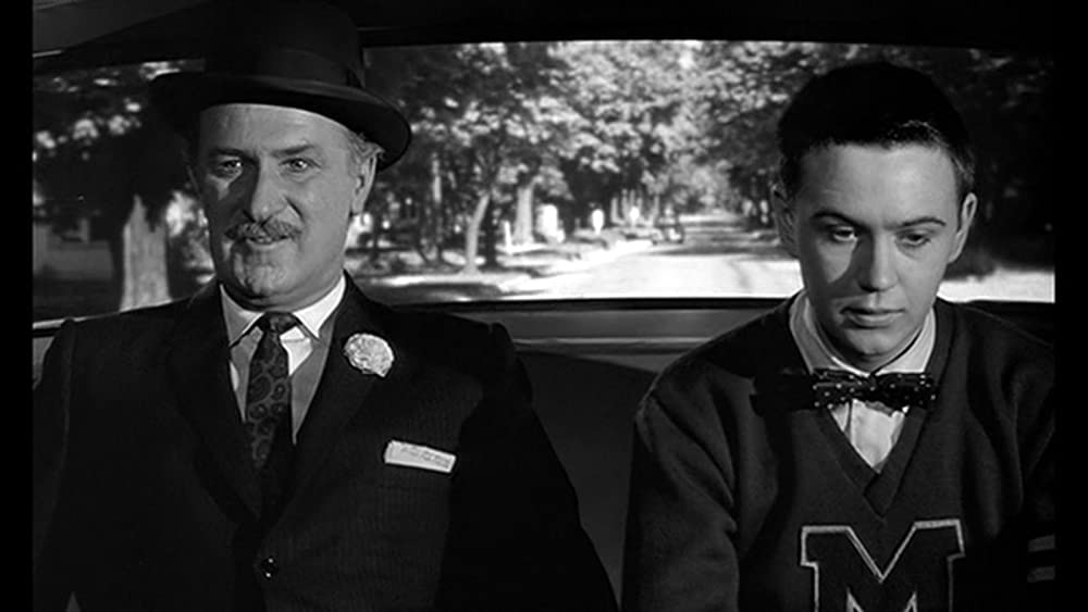 フラバー うっかり博士の大発明／うっかり博士の大発明／フラバァの画像