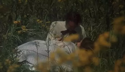 「白い肌の異常な夜」の画像