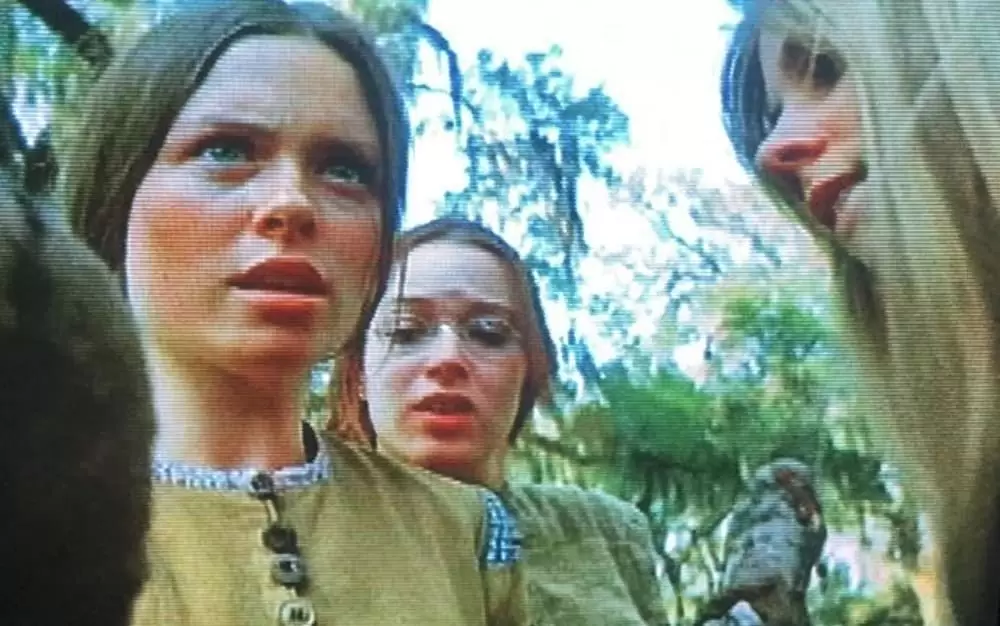 「白い肌の異常な夜」Darleen Carr & Jo Ann Harris & Patricia Mattickの画像