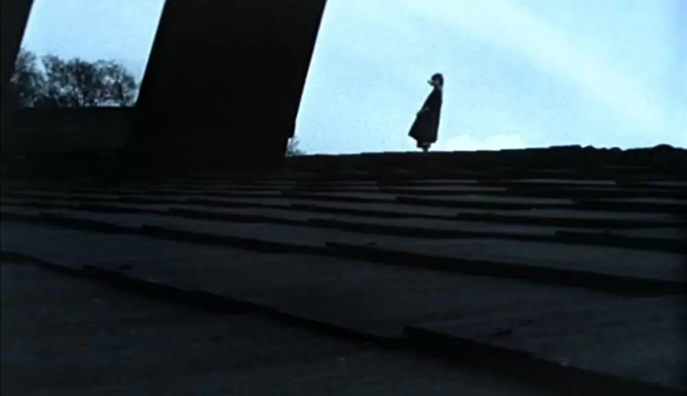 「白い肌の異常な夜」の画像