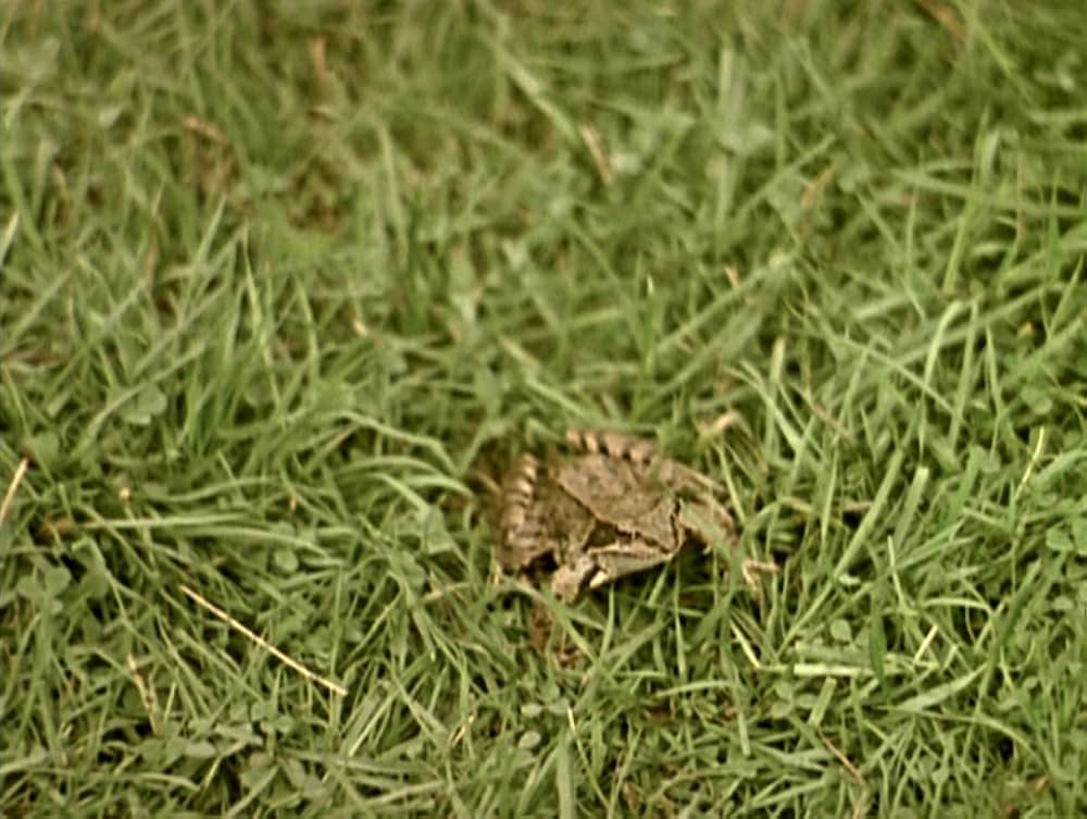 天使たちが失墜するときの画像