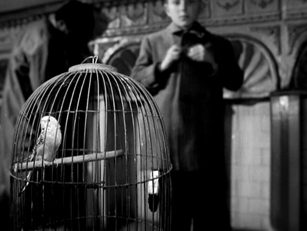 天使たちが失墜するときの画像