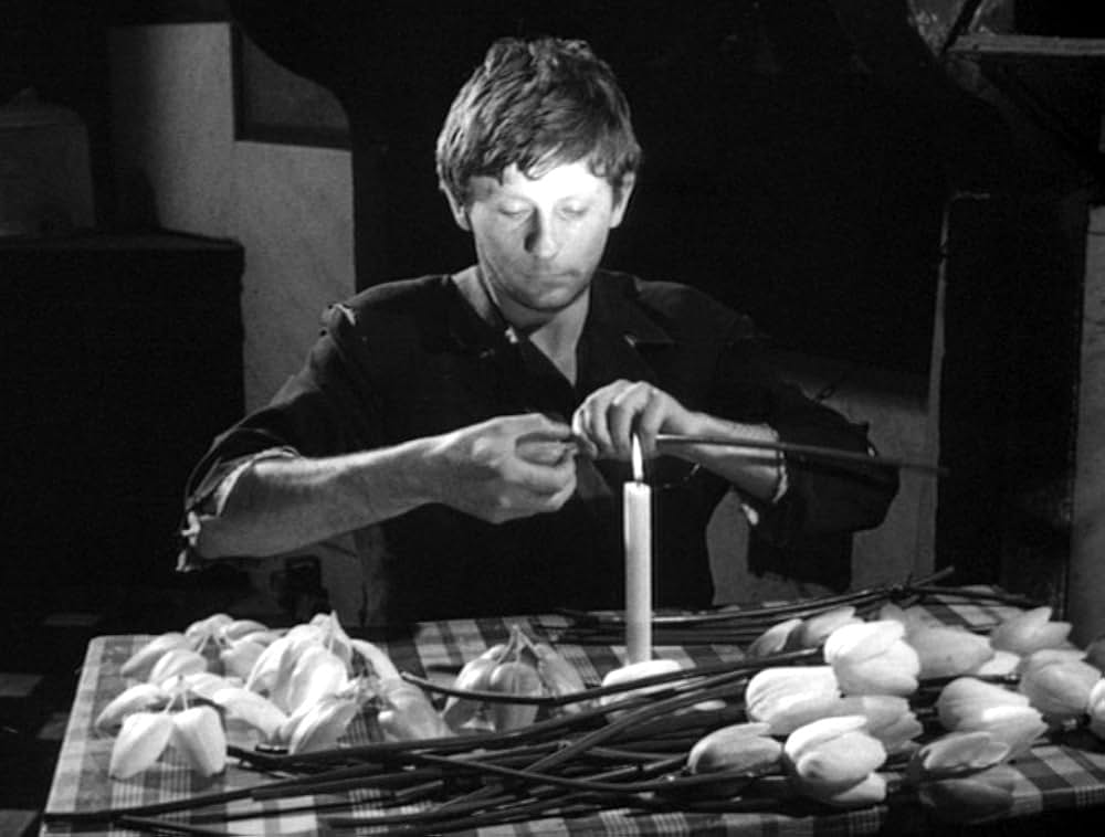 太った男と痩せた男の画像