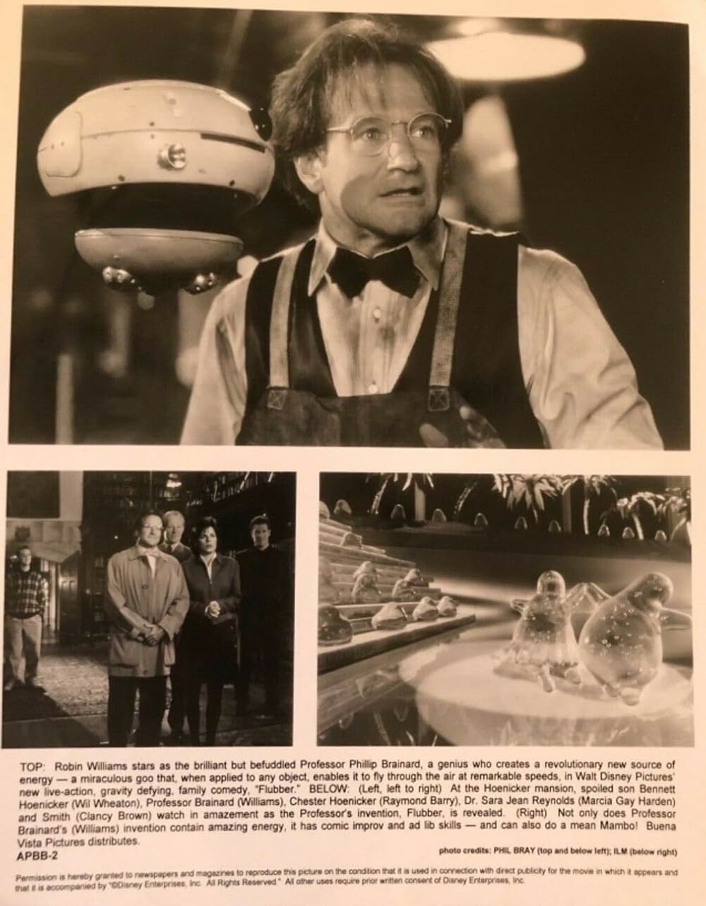 フラバーの画像