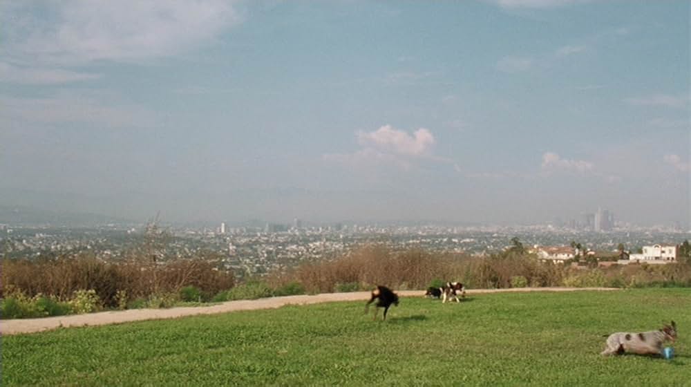 ラブ・ザ・ドッグ 犬依存症の女の画像