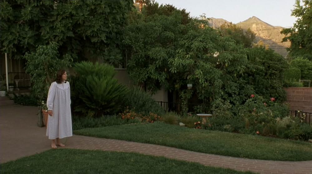 ラブ・ザ・ドッグ 犬依存症の女の画像