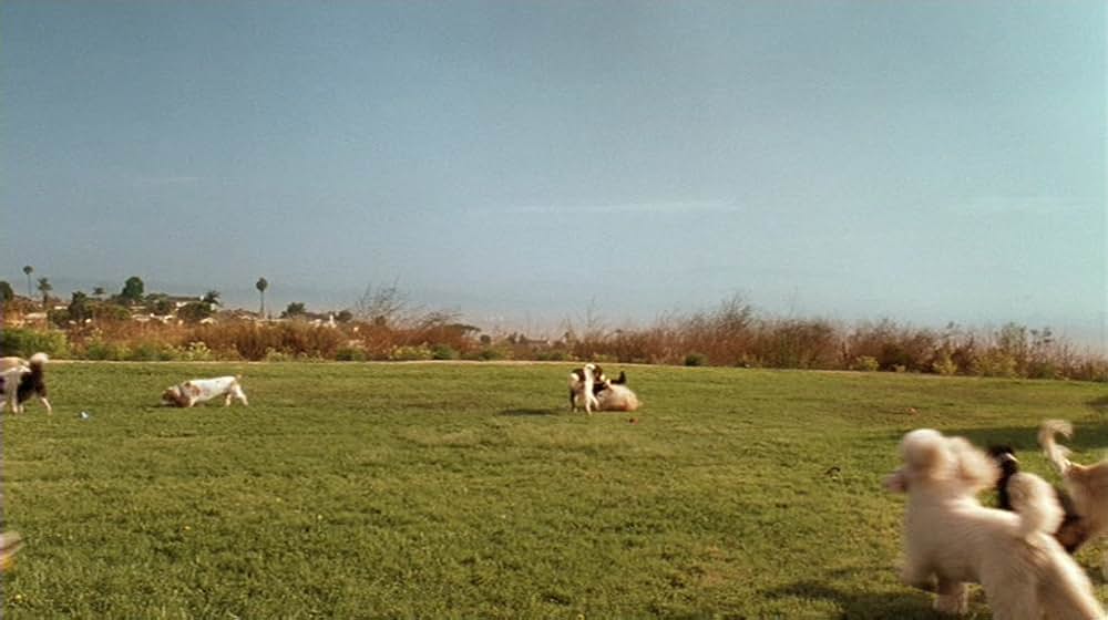 ラブ・ザ・ドッグ 犬依存症の女の画像