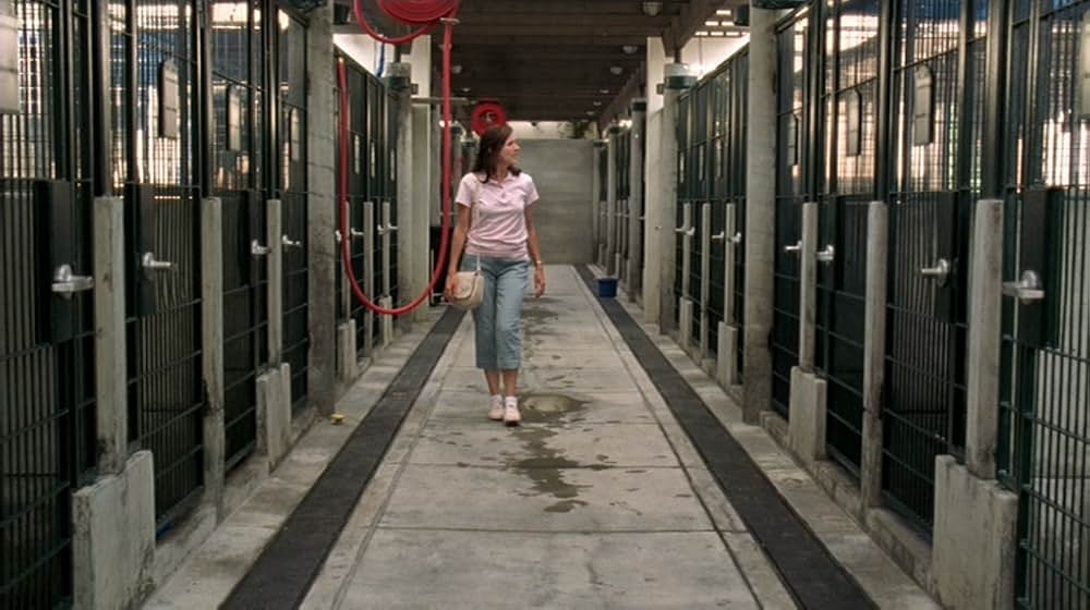 ラブ・ザ・ドッグ 犬依存症の女の画像