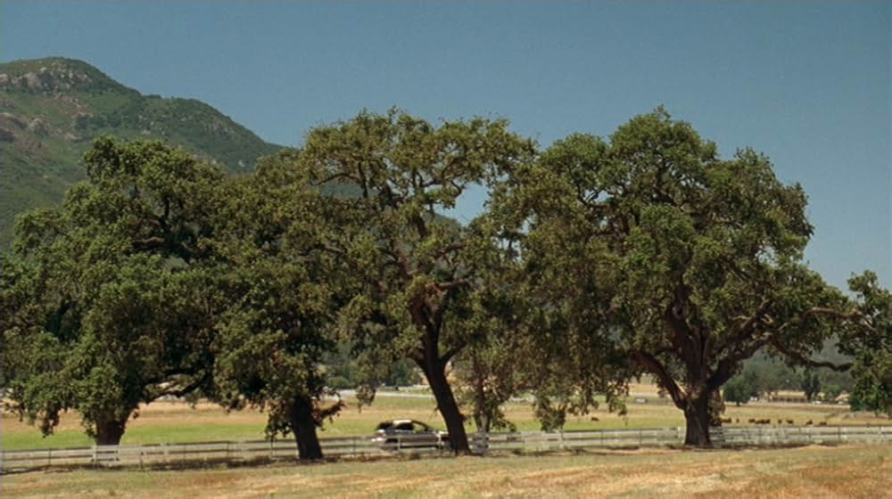 ラブ・ザ・ドッグ 犬依存症の女の画像