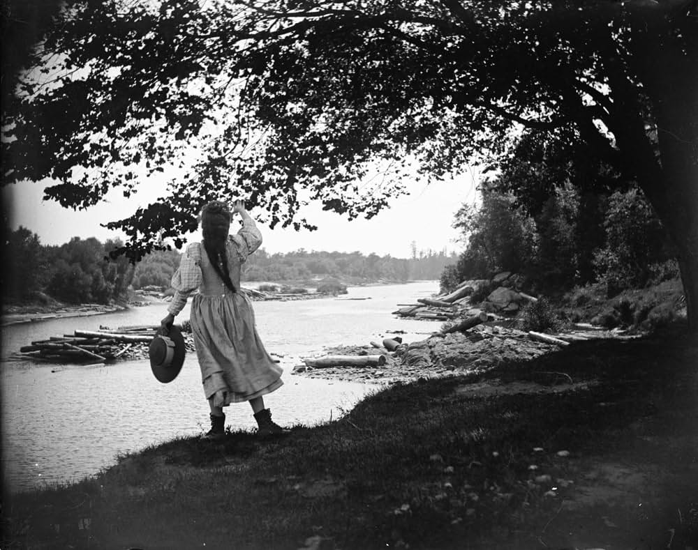 「Wisconsin Death Trip（原題）」の画像