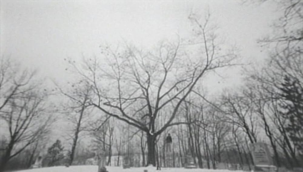 Wisconsin Death Trip（原題）の画像