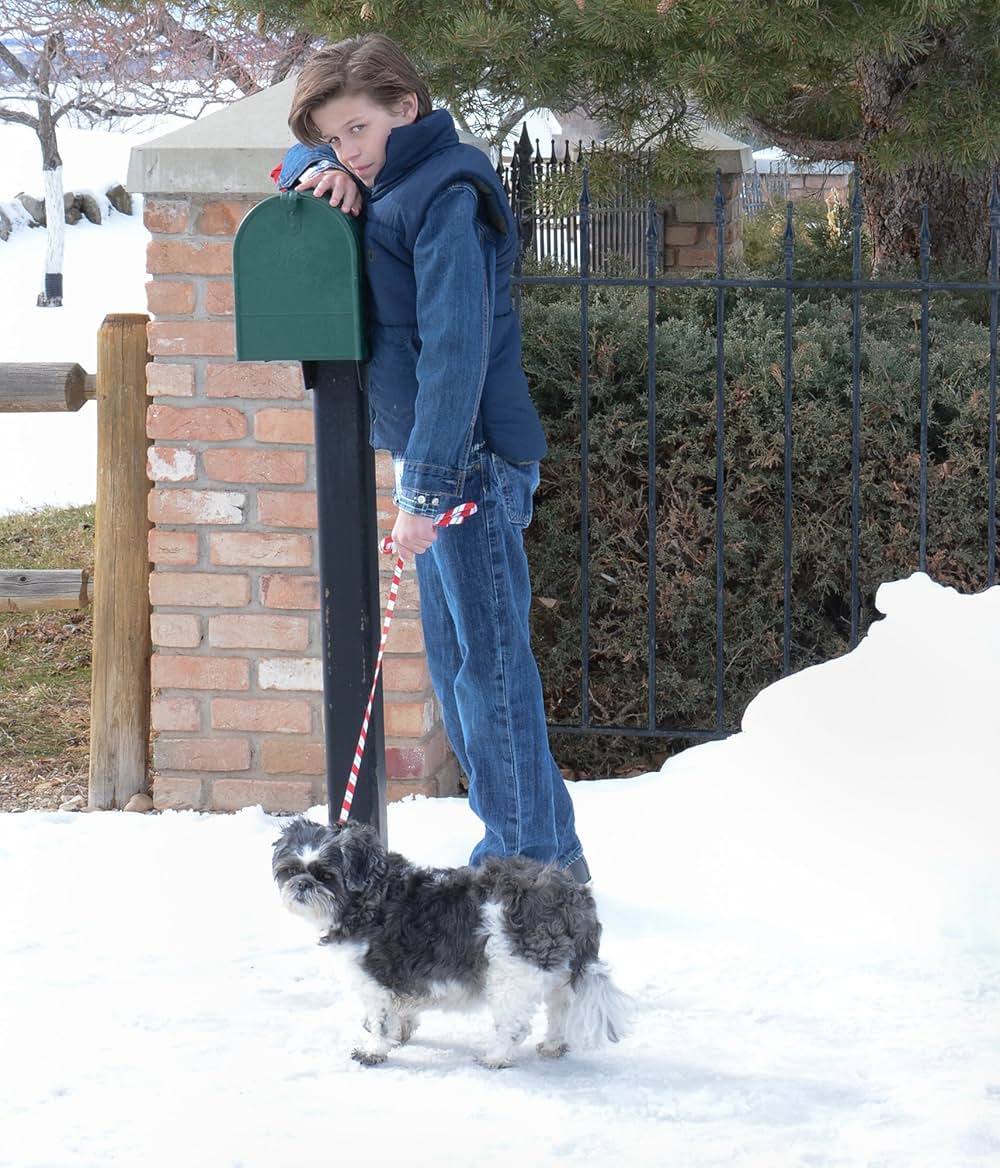 クリスマス・プロジェクトの画像