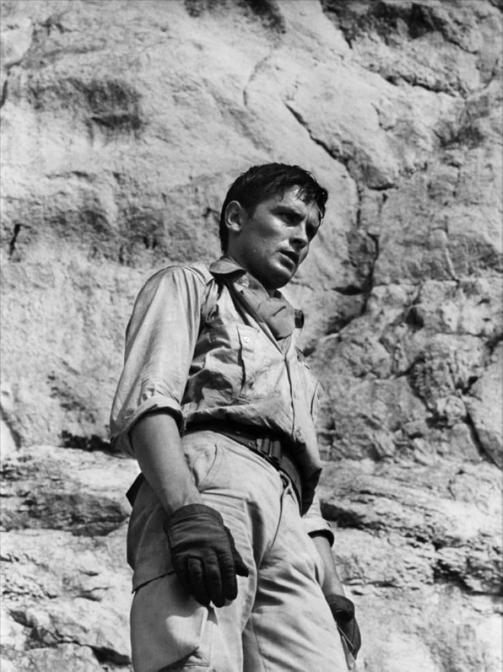 さすらいの狼の画像