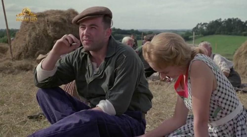 トゥルーラブの画像