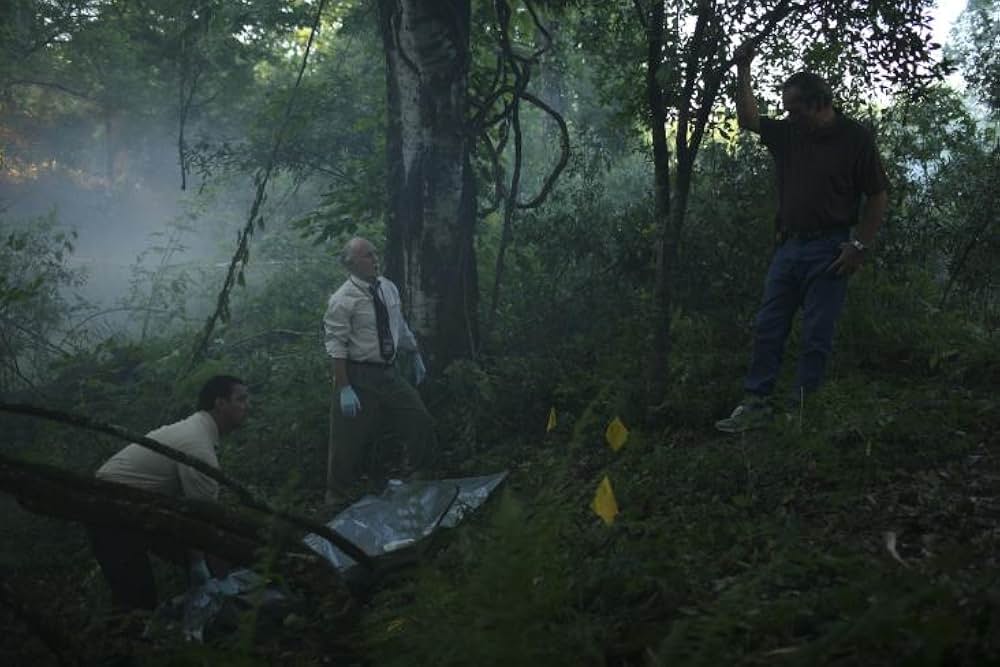 エレクトリック・ミスト 霧の捜査線の画像