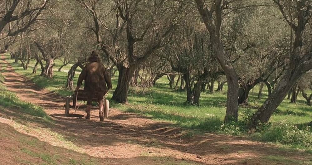 Virgin Territoryの画像