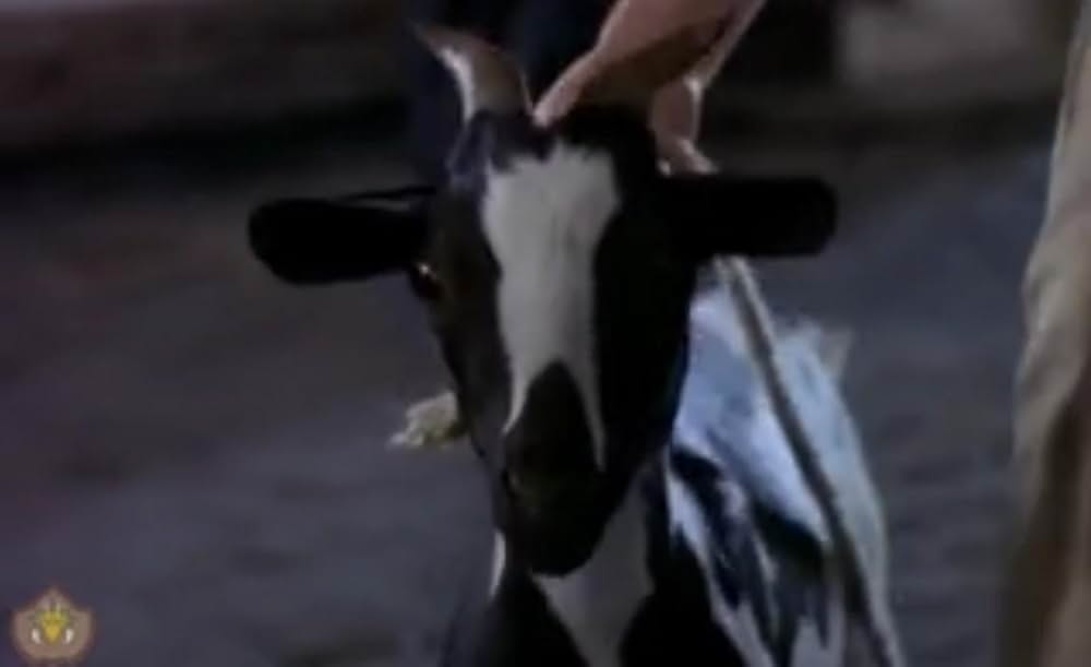 サブリナ 麗しの魔女inローマの休日の画像