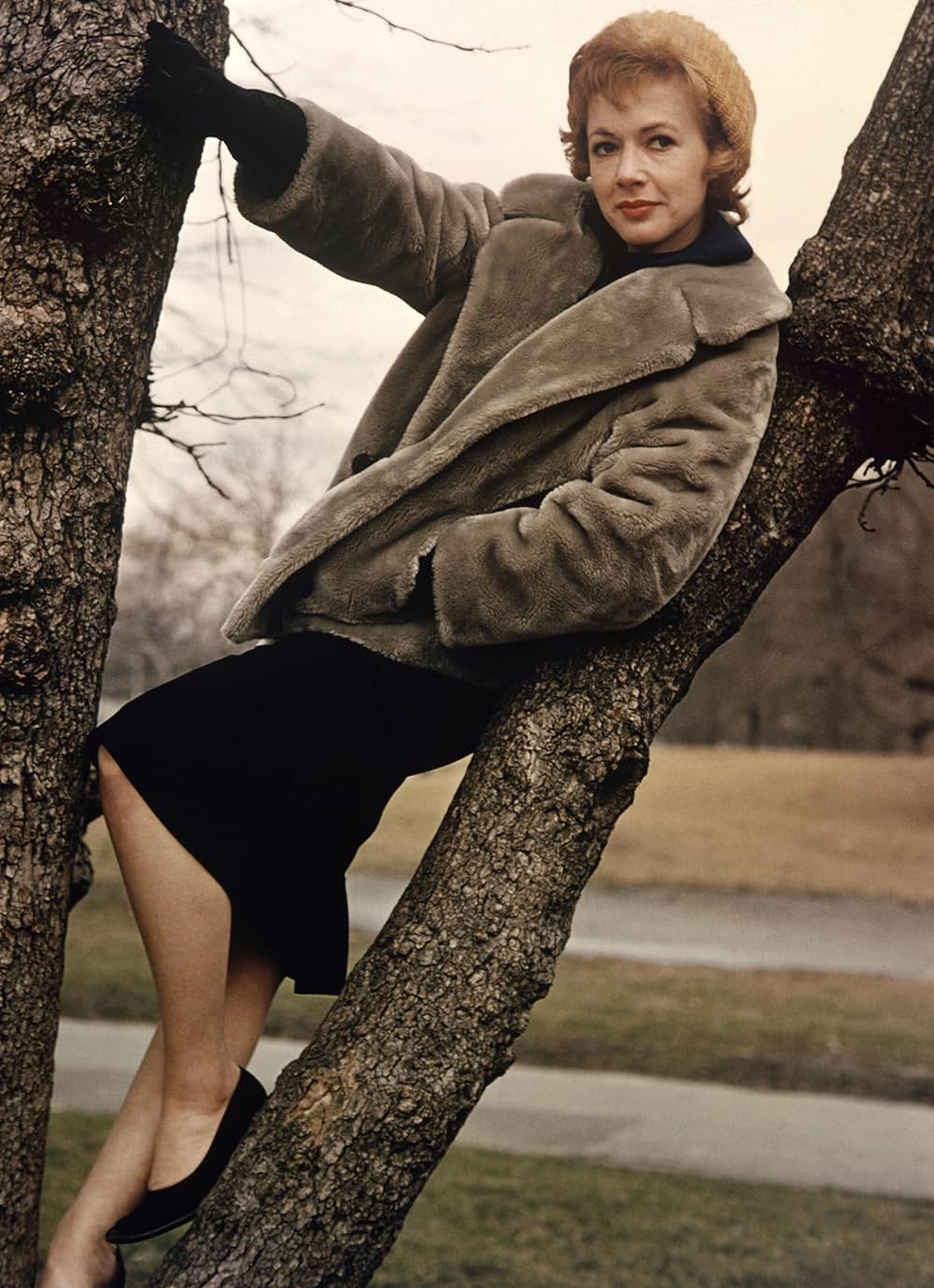 ハスラーの画像