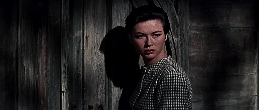 ナバロンの要塞の画像