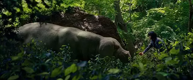 「オクジャ okja」の画像