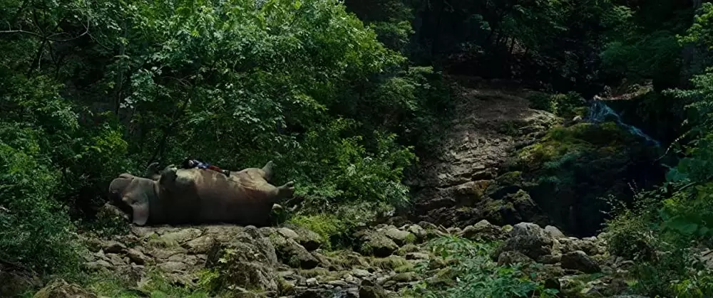 オクジャ okjaの画像