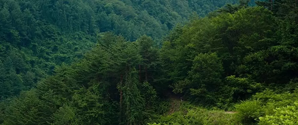 オクジャ okjaの画像