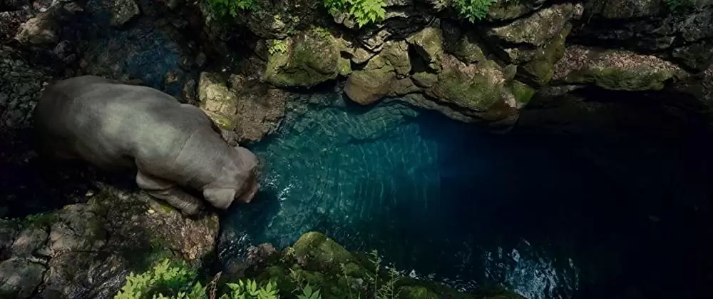 オクジャ okjaの画像