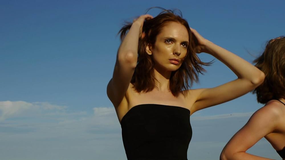 インビジブル・シャークの画像