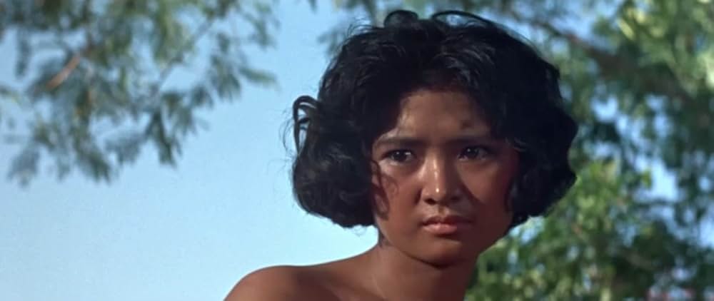 陽動作戦の画像