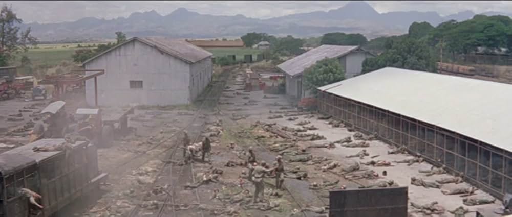 陽動作戦の画像