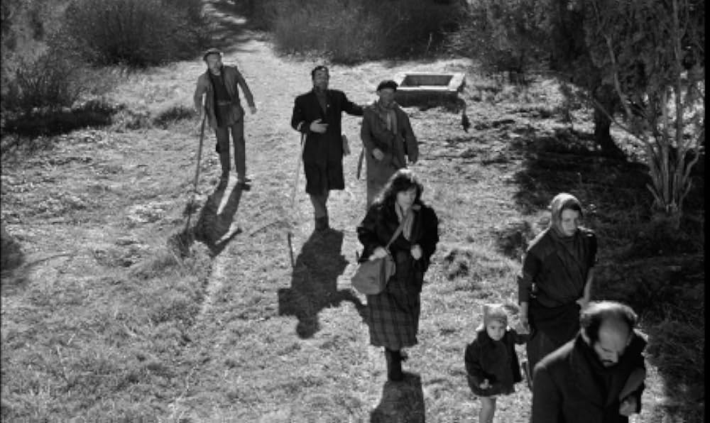 ビリディアナの画像