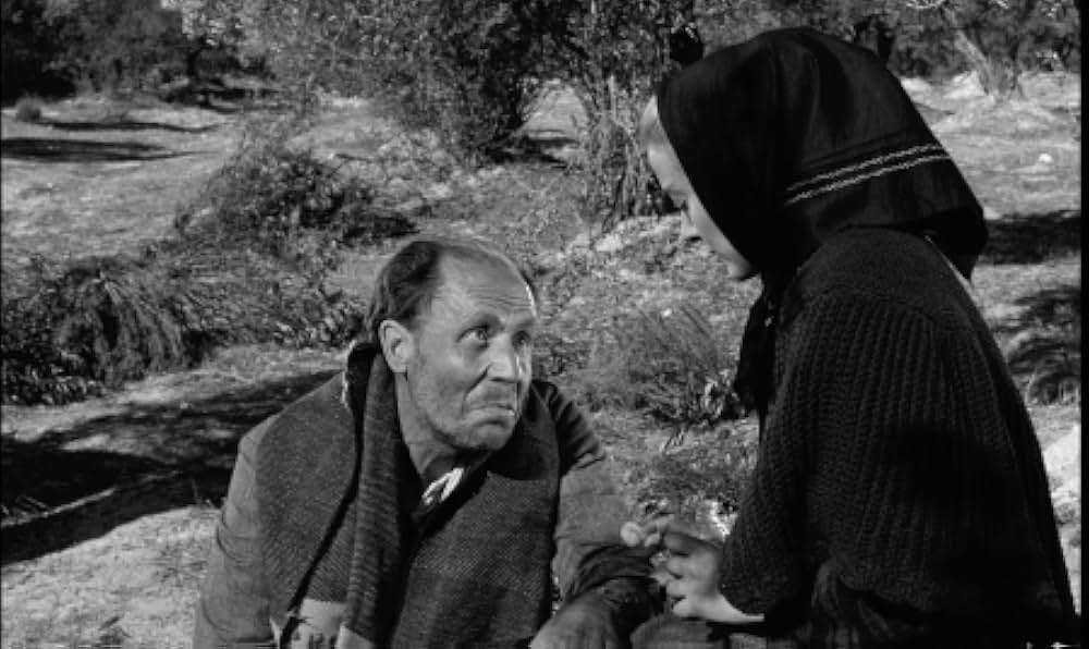 ビリディアナの画像