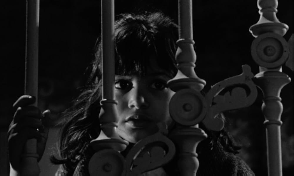 ビリディアナの画像